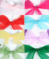 Additional Organza Sashes for Madeleine Dress