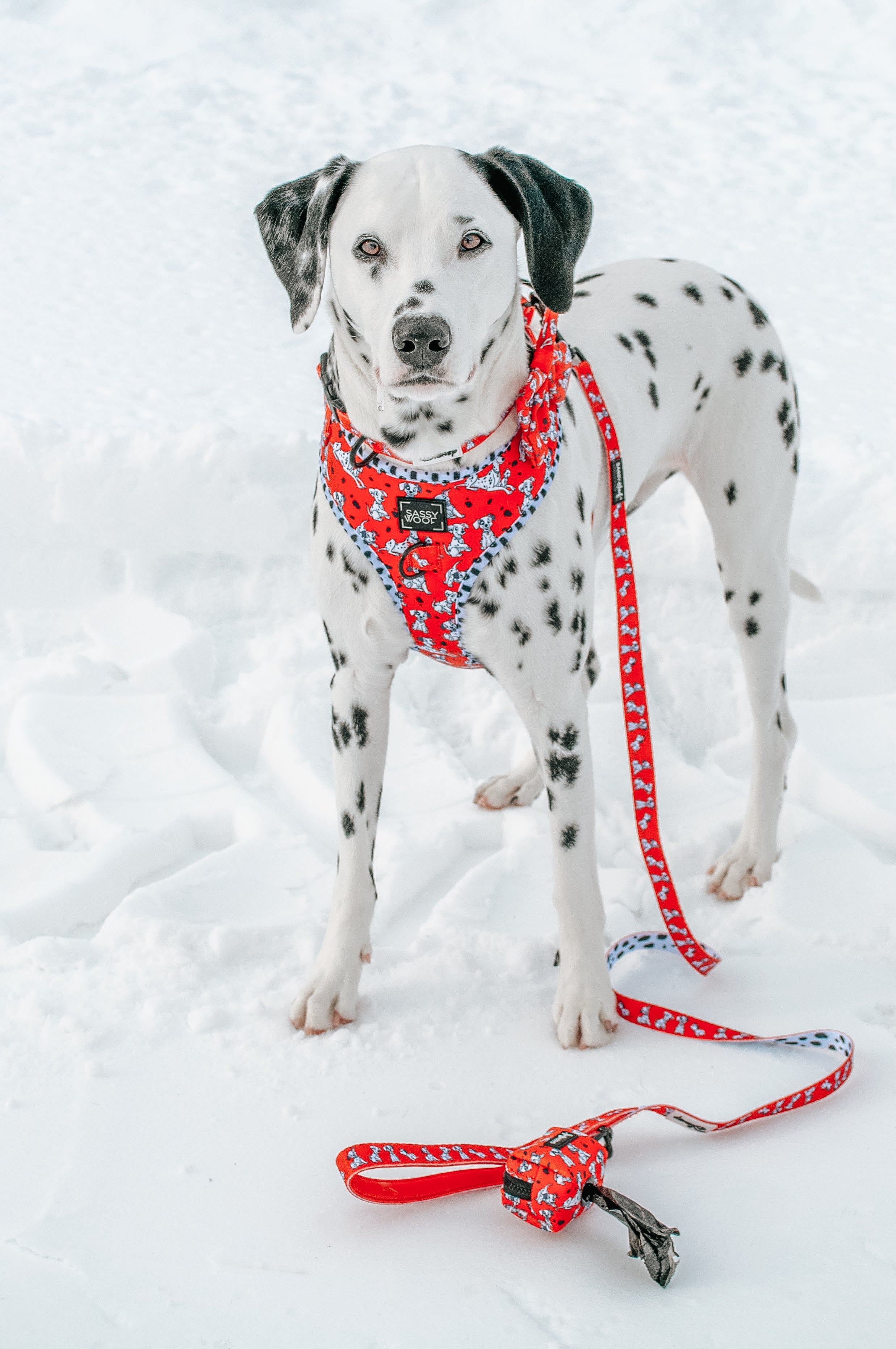 Dog Adjustable Harness - Disneys 101 Dalmatians