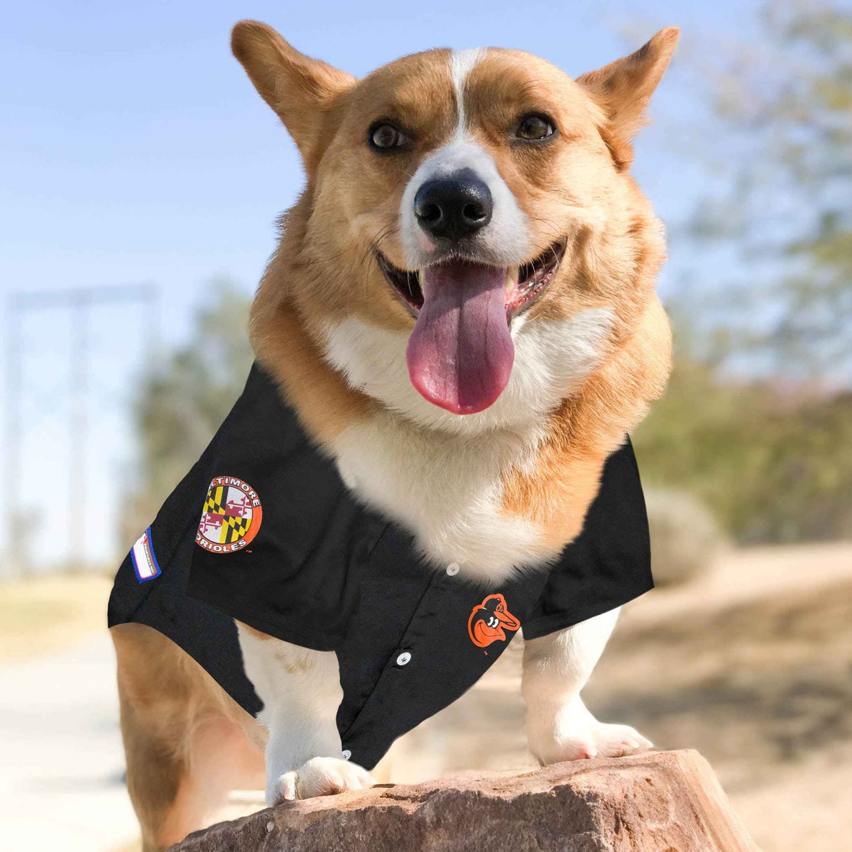 MLB Baltimore Orioles Mesh Pet Jersey