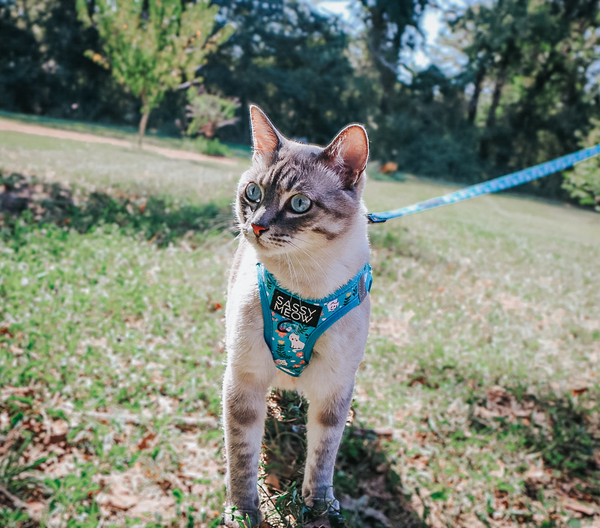 Cat Step-In Harness - Purrs & Petals