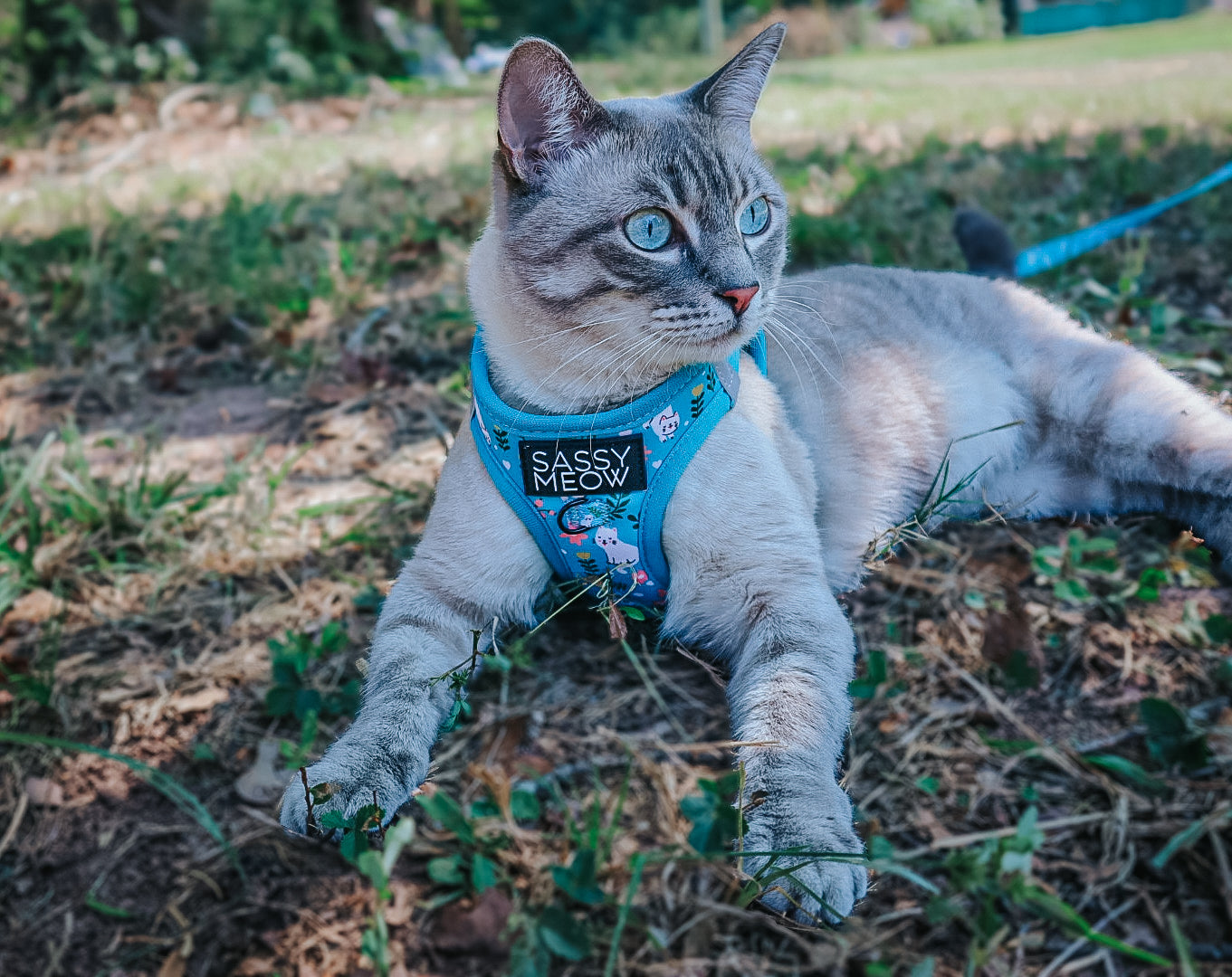 Cat Step-In Harness - Purrs & Petals