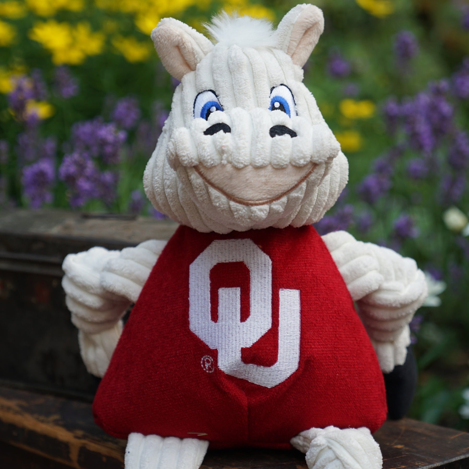 NCAA University of Oklahoma, Sooner Knottie Plush Dog Toy