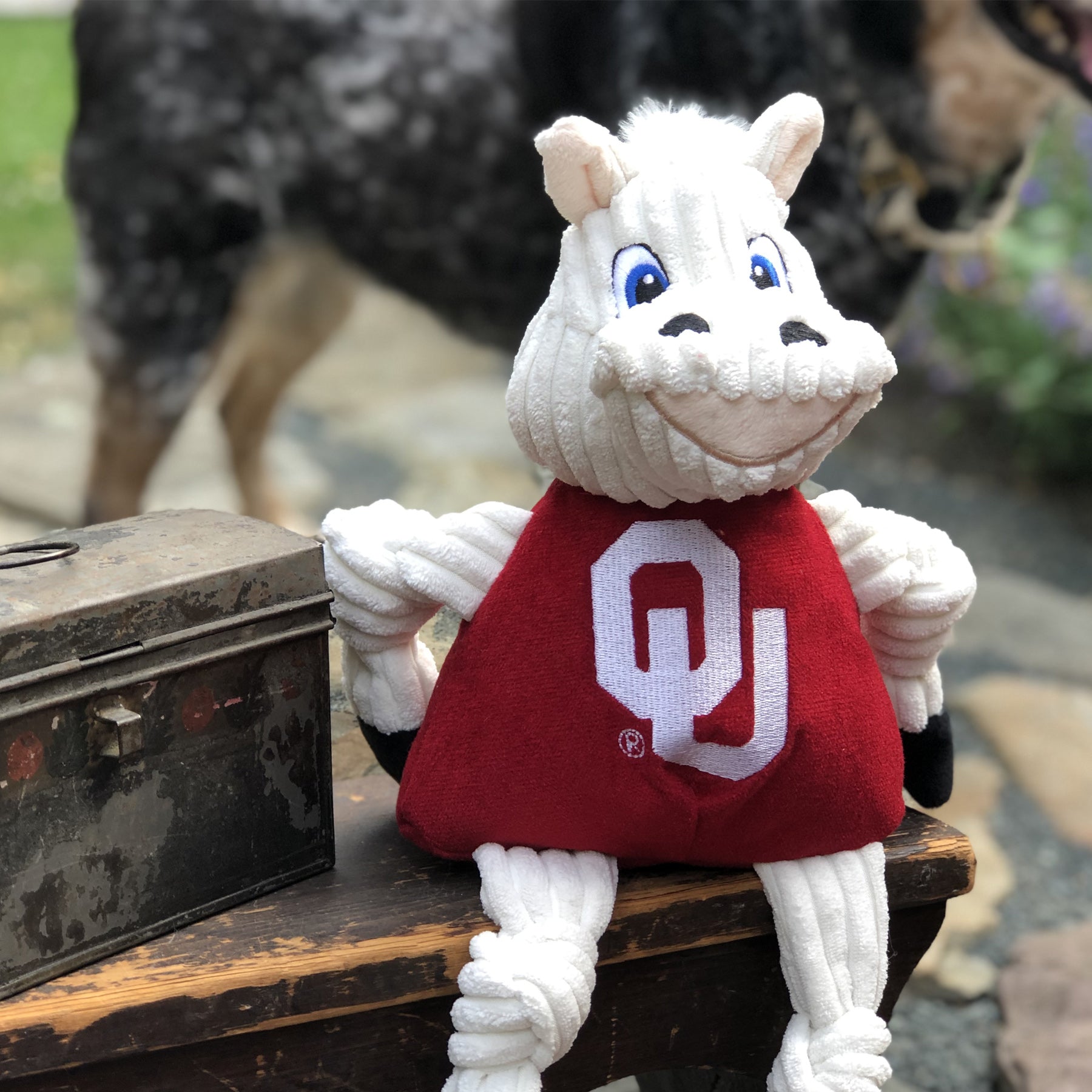 NCAA University of Oklahoma, Sooner Knottie Plush Dog Toy