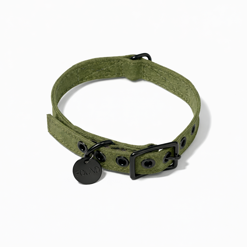 Olive Waxed Cotton Canvas Cat & Dog Collar – Matte Black Hardware