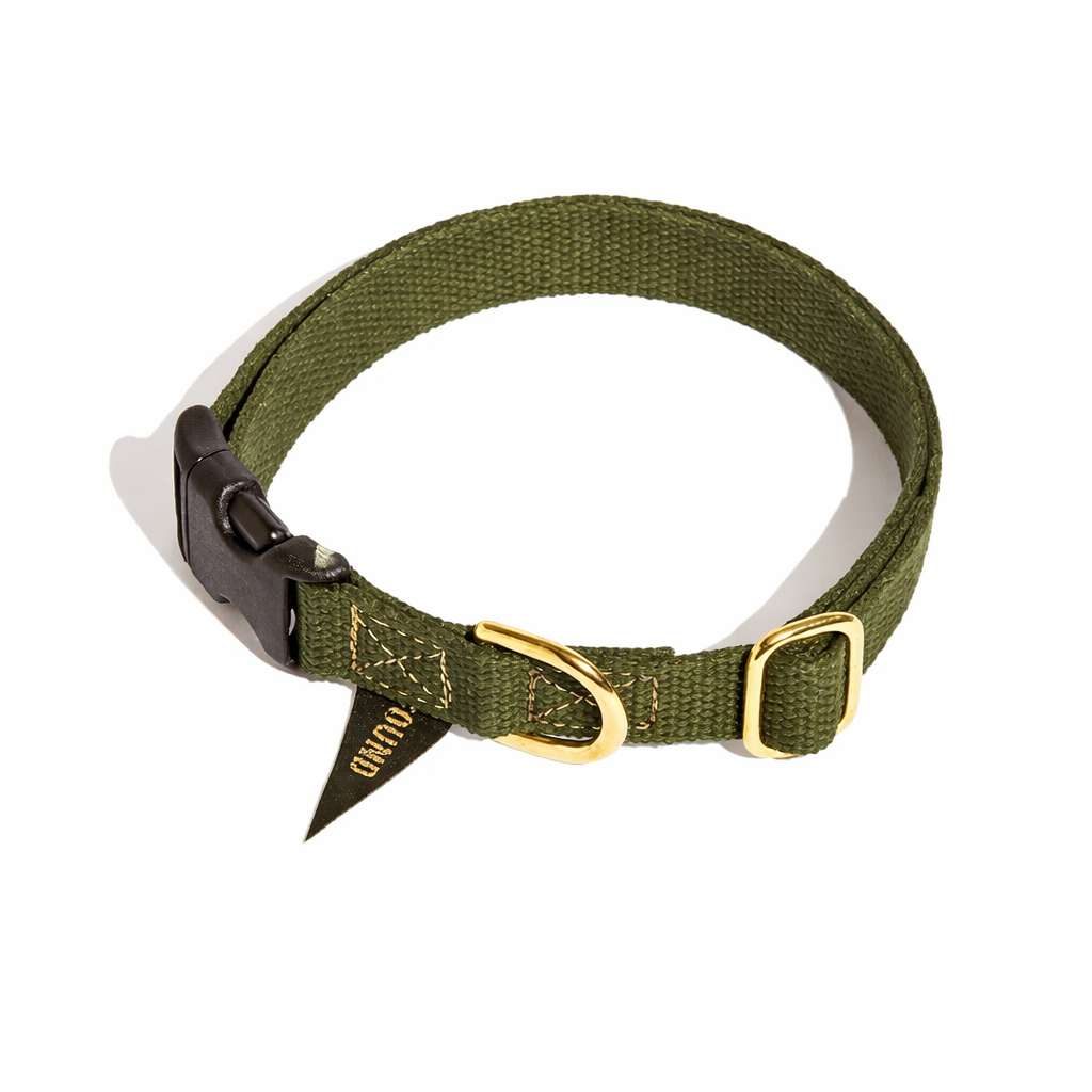 Found Classic Cotton Dog Collar | Olive