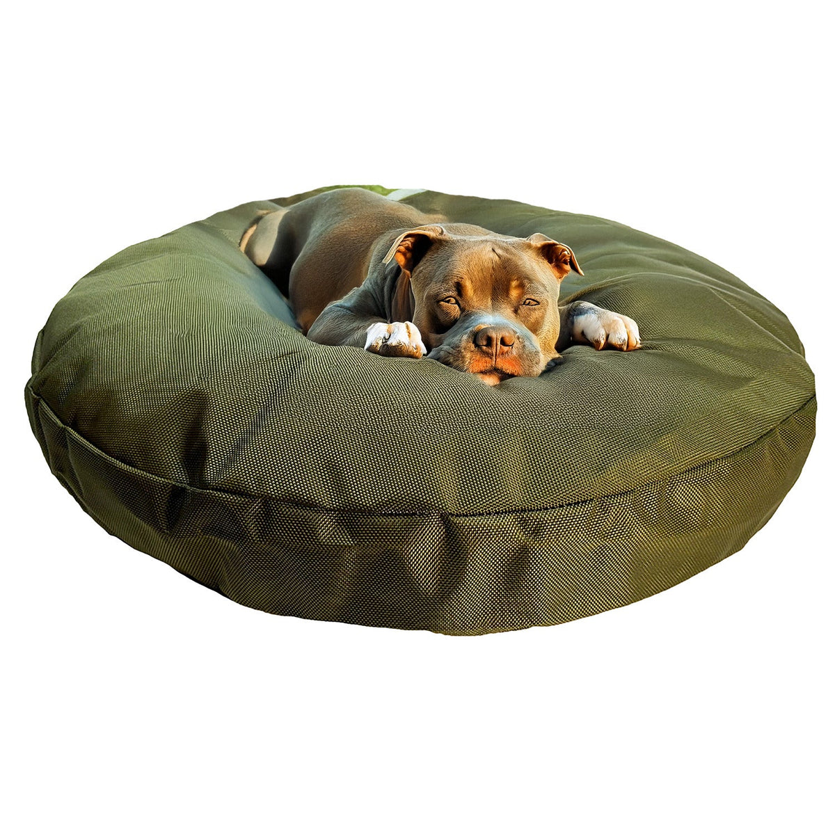 Round Armor Dog Bed