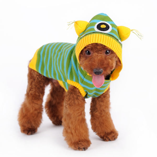 DOGO One Eye Monster Dog Sweater