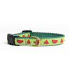 Up Country One in a Melon Small Breed Dog Collar Made in USA