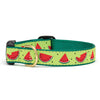 Up Country One in a Melon Cast Brass Dog Collar