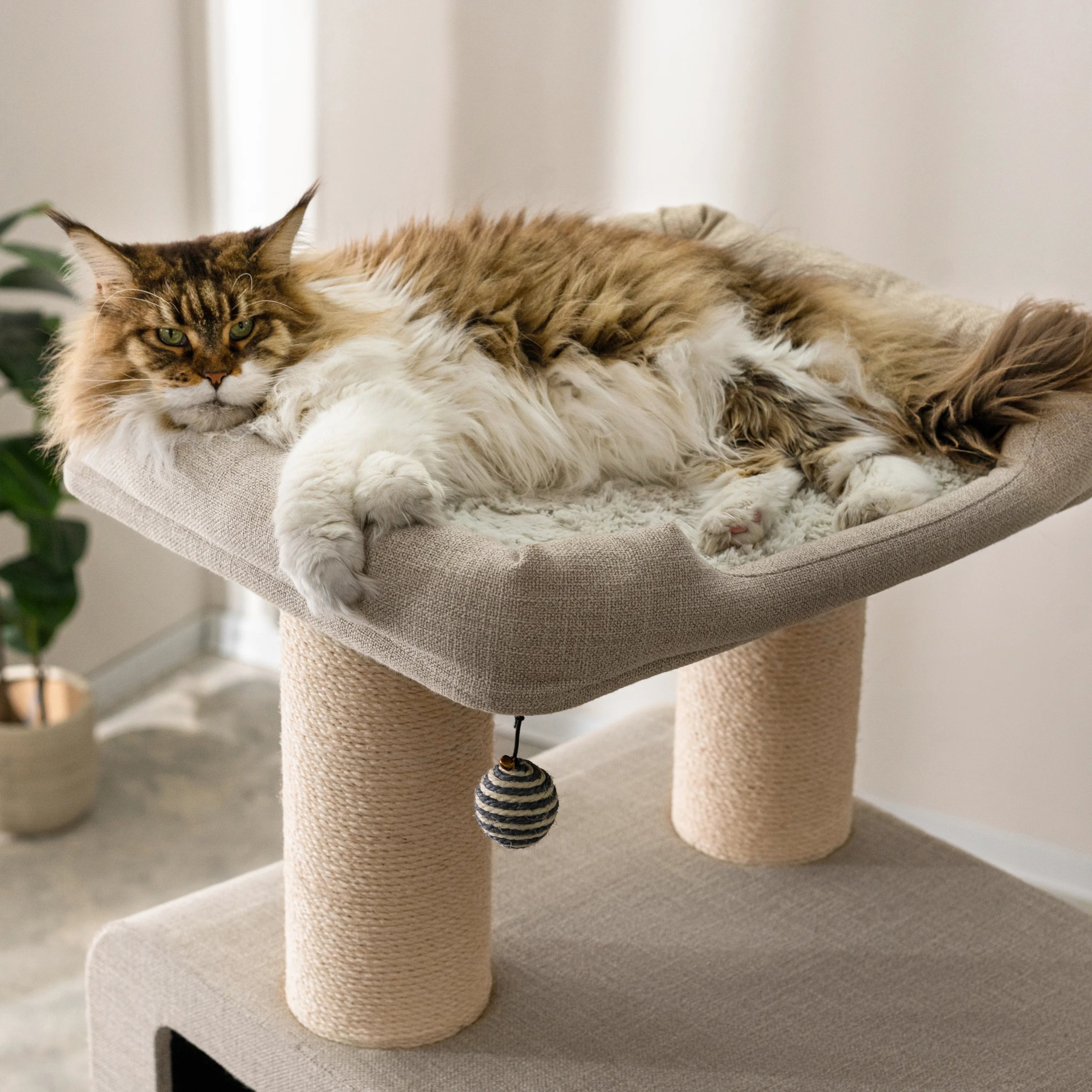 Ontario Grand Luxe Cat Tree – Built for Large Breeds