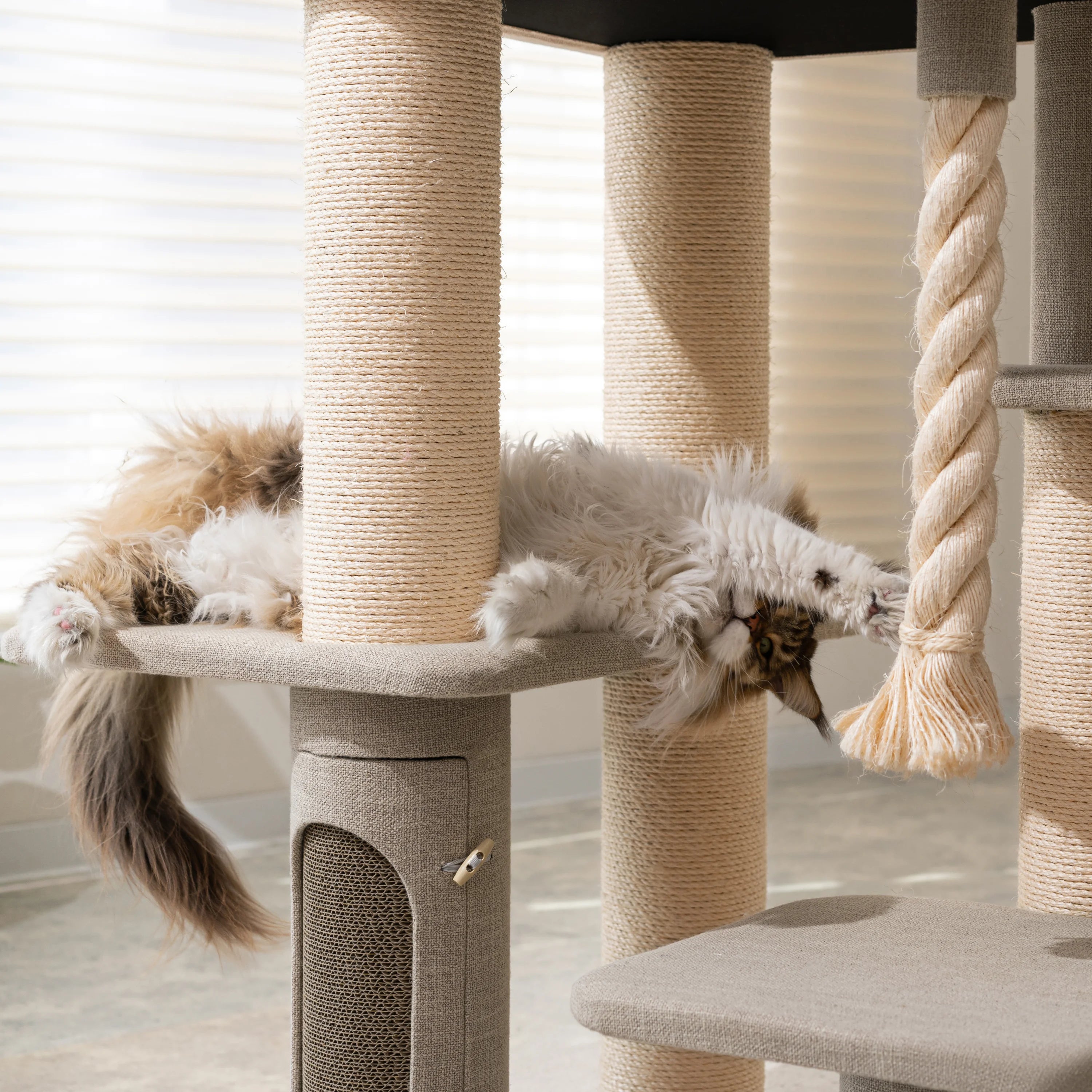 Ontario Grand Luxe Cat Tree – Built for Large Breeds
