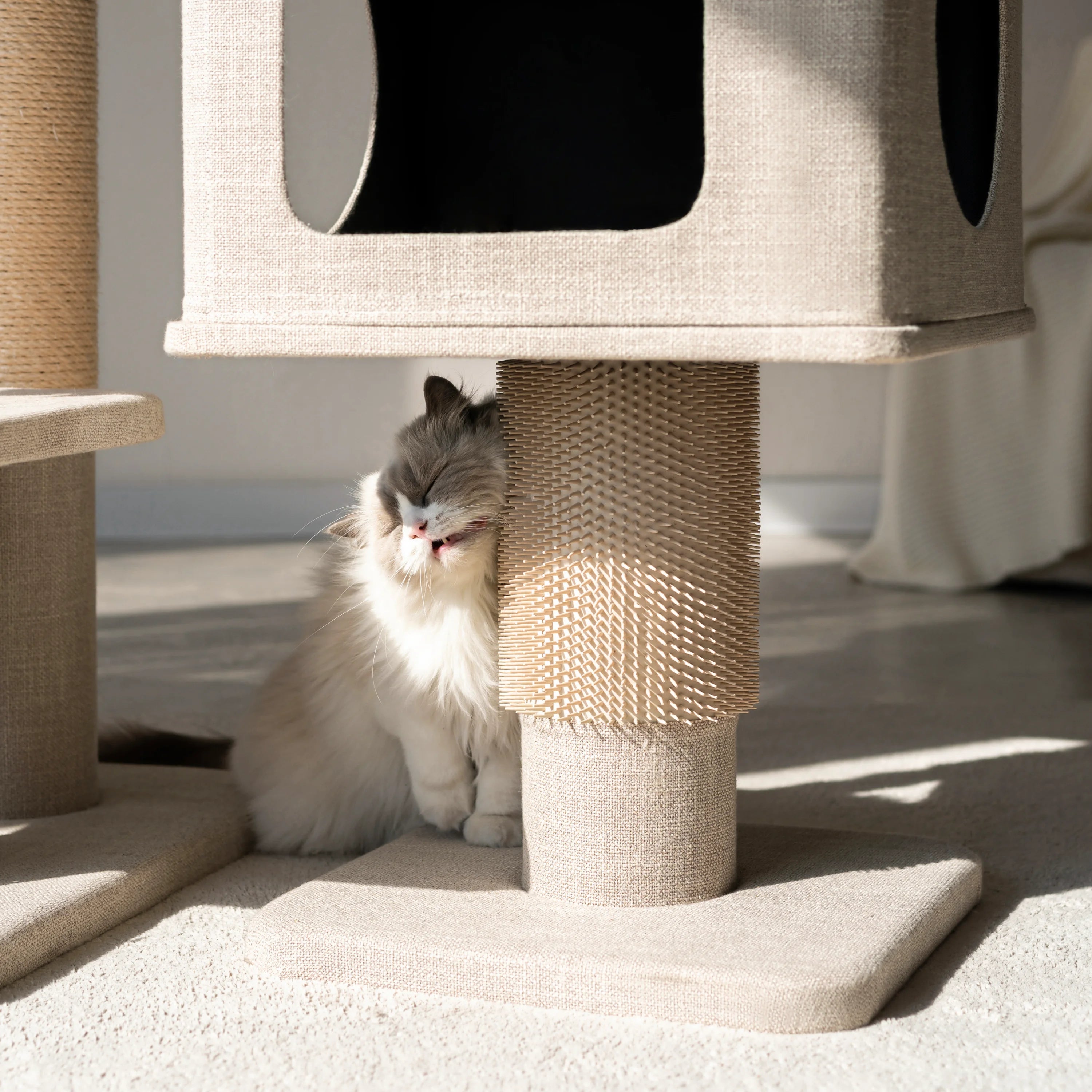 Ontario Grand Luxe Cat Tree – Built for Large Breeds