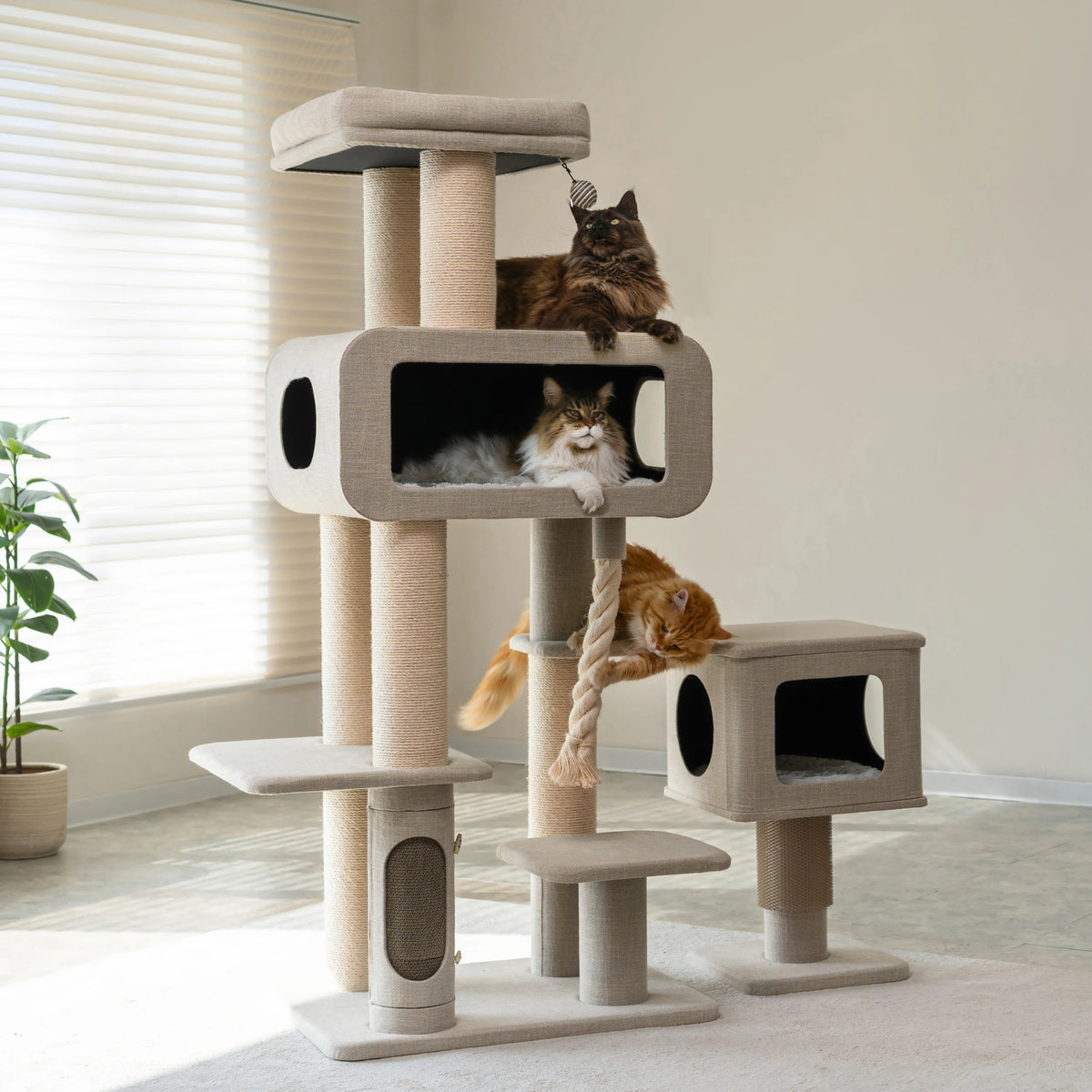 Ontario Grand Luxe Cat Tree – Built for Large Breeds