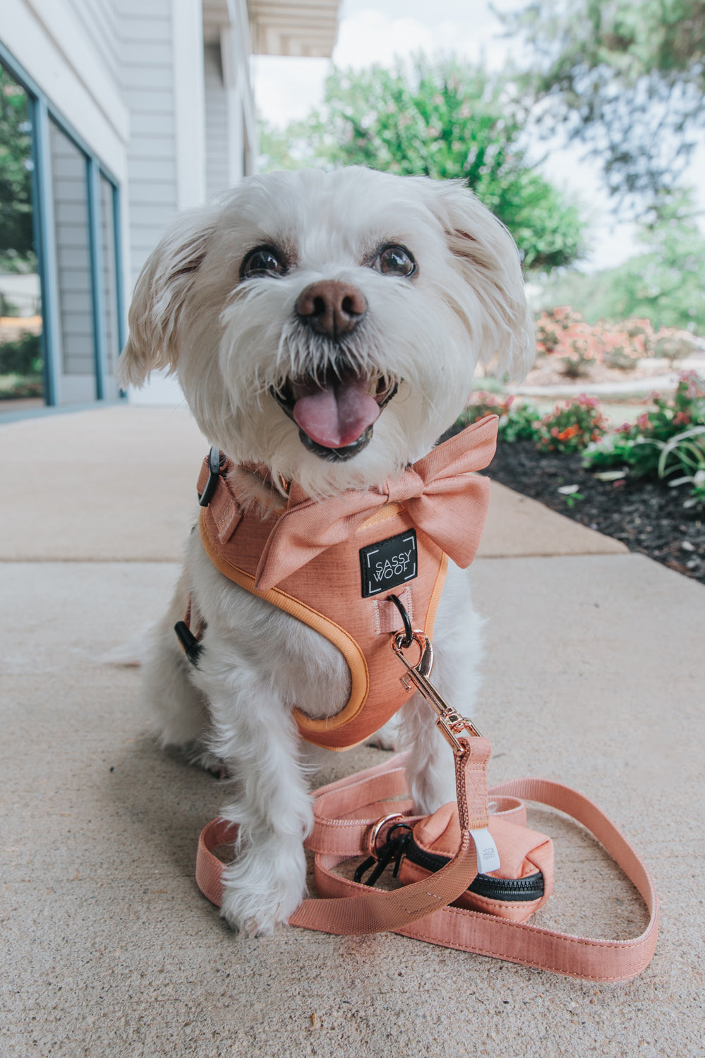 Dog Adjustable Harness - Apple Cider