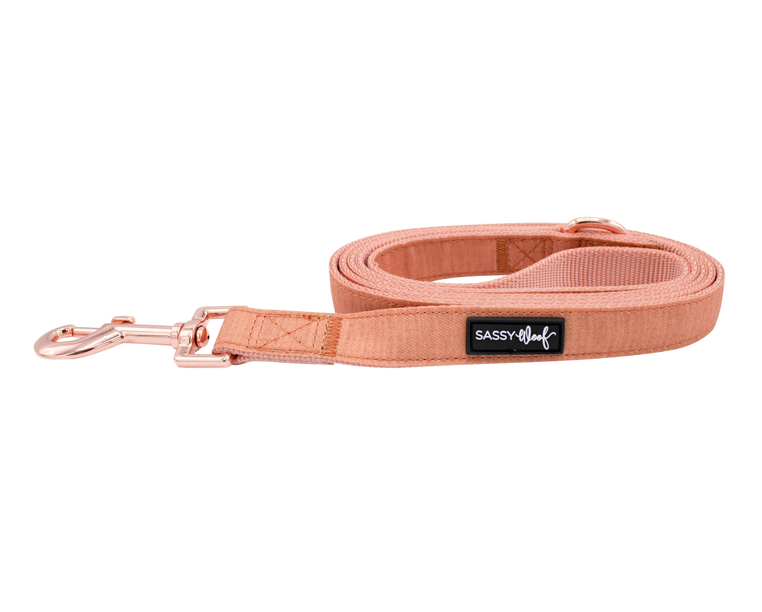 Dog Leash - Apple Cider