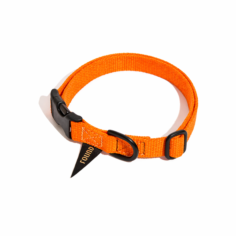 Found Classic Cotton Dog Collar | Orange - Matte Black Hardware