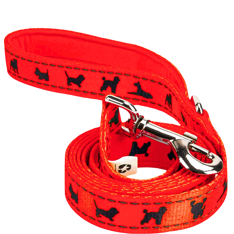 EcoBark Safety Orange Dog Leash- Padded Comfort Grip Leash with Dog Pattern - 4ft, 5ft, and 6ft Leash for Small and Medium Dogs