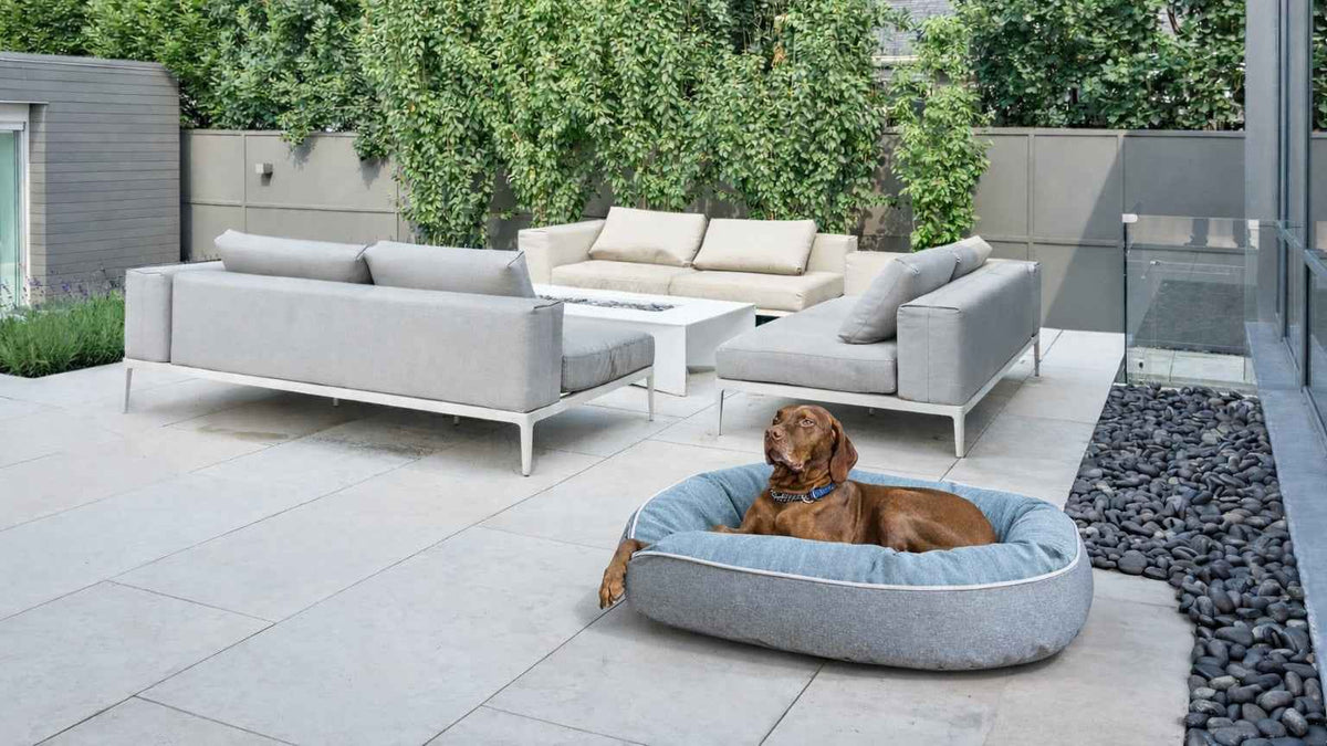 Bowsers Ovie Orthopedic Dog Bed - Supportive Joint-Relief Comfort
