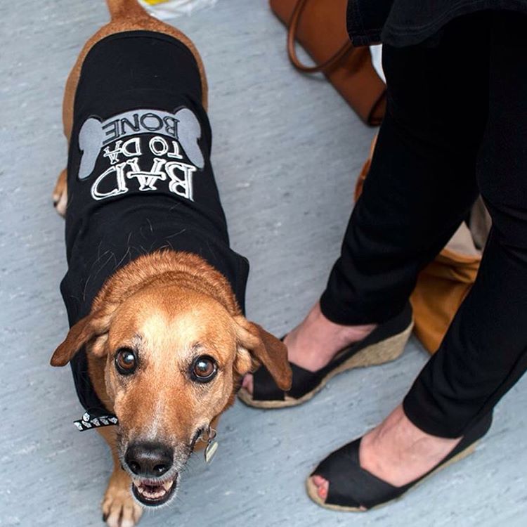 Parisian Pet Bad to da Bone Dog T-Shirt-Black