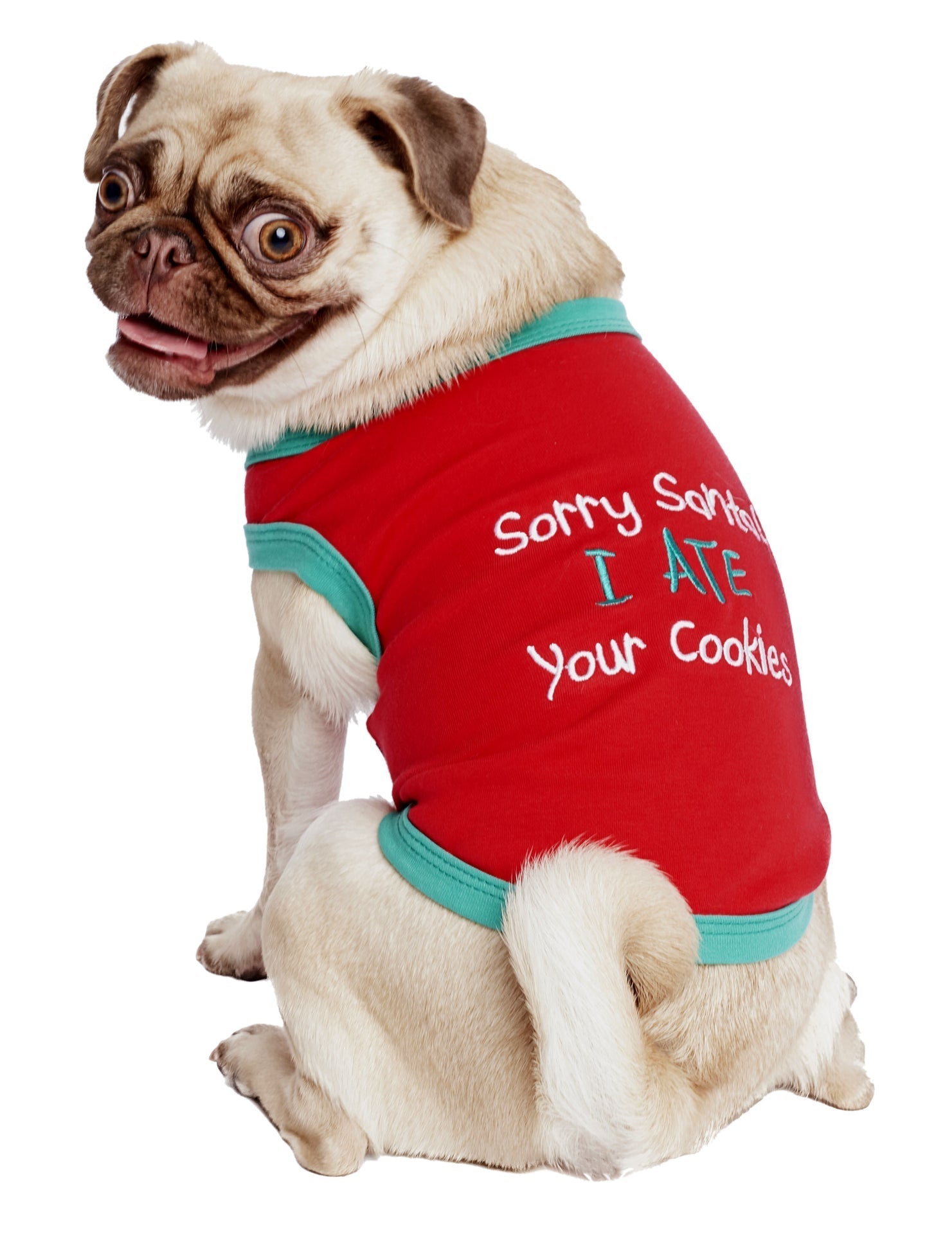 Parisian Pet Sorry Santa, I Ate Your Cookies Christmas Shirt for Pets - Festive Dog & Cat Outfit, Red