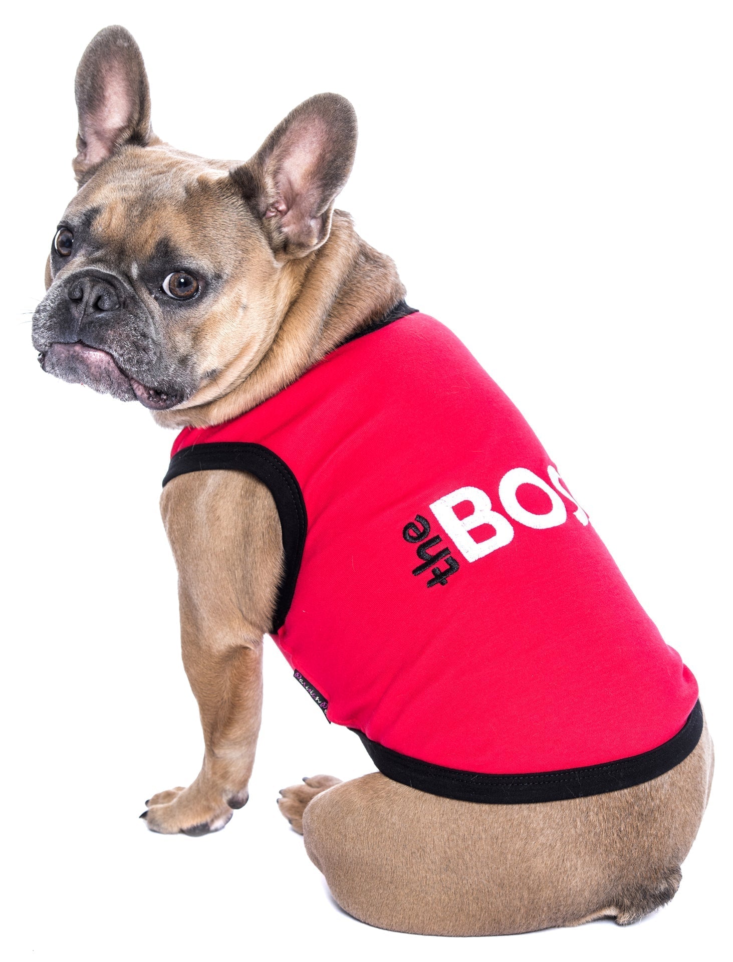 Parisian Pet The Boss Embroidered Pet T-Shirt  Bold Slogan Dog Apparel for Dogs & Cats, Red