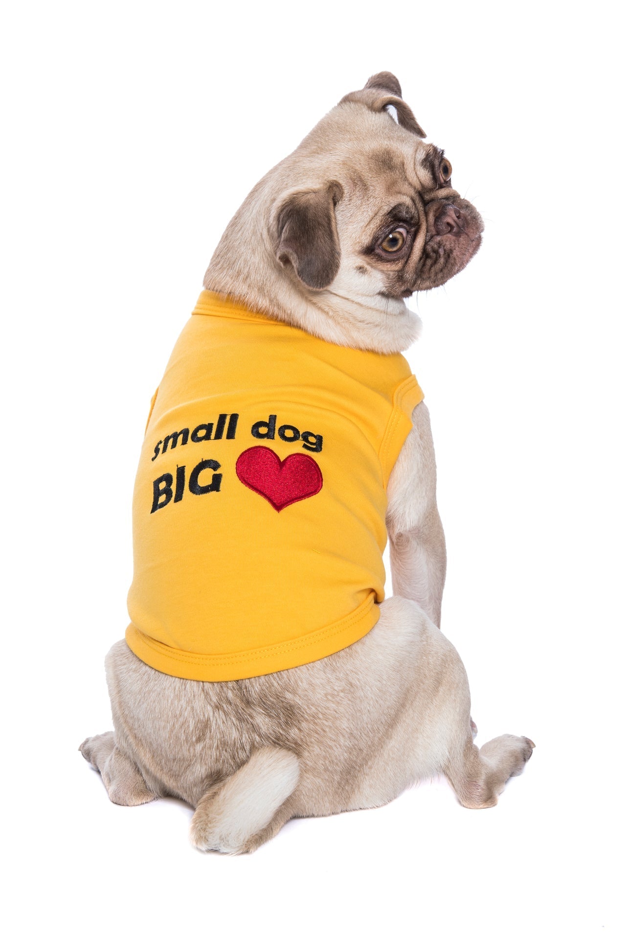 Parisian Pet Big Heart Slogan Dog Shirt  Soft and Breathable Pet Apparel for Small Dogs & Cats, Yellow-Valentines Day