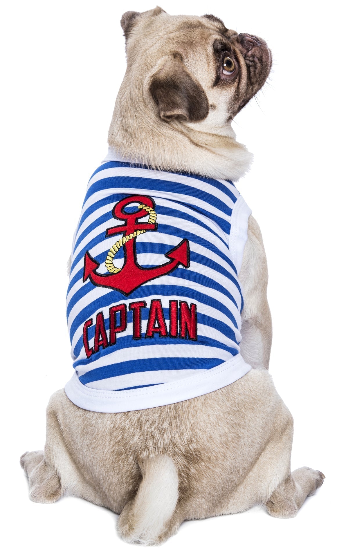Parisian Pet Captain Fun Sailor Dog Outfit  Soft and Breathable Nautical Pet Wear for Small Dogs & Cats, Blue & White Stripes