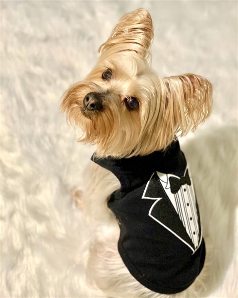 Parisian Pet Tuxedo Stylish Dog Outfit  Premium Cotton Formal Wear for Special Occasions, Black