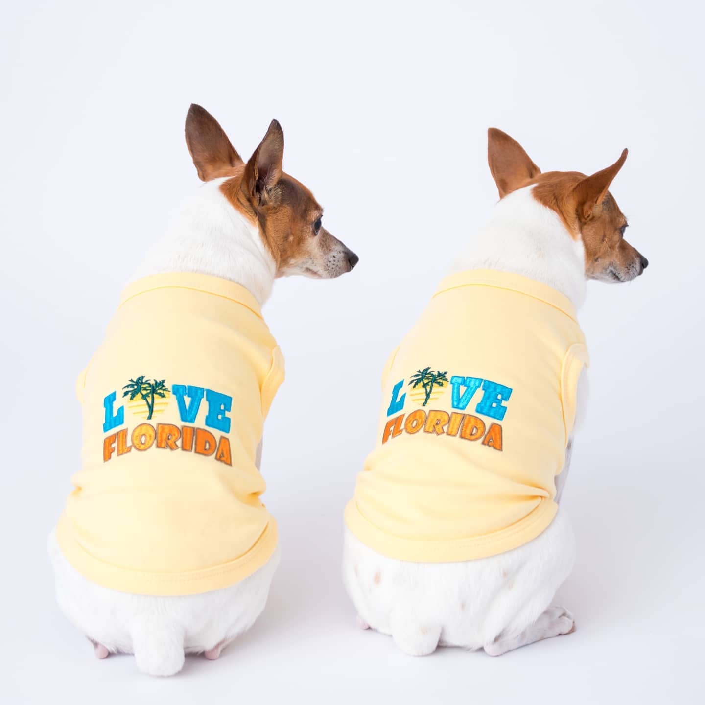 Parisian Pet Love Florida Pet Apparel  Trendy Florida Pride Dog Shirt for Small Dogs & Cats, Yellow