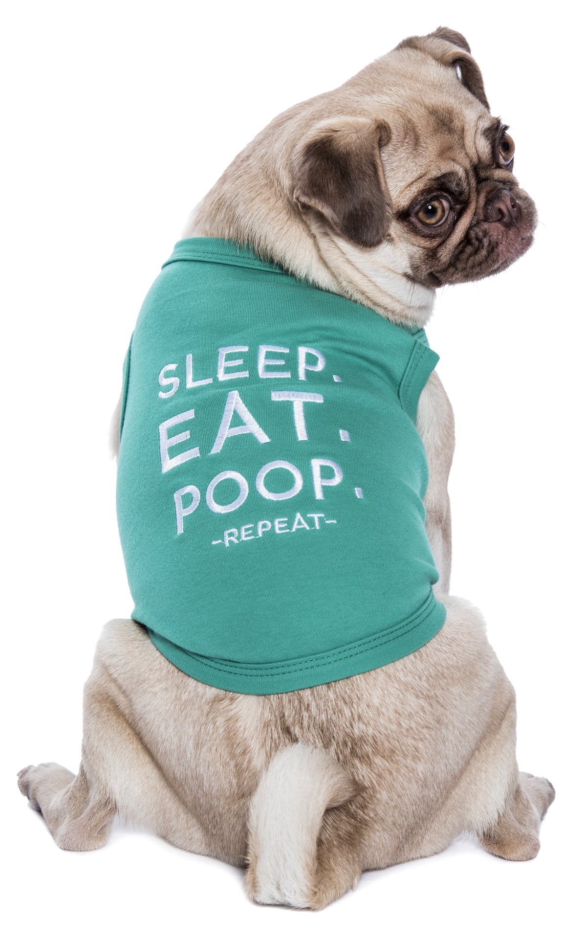 Parisian Pet Sleep Eat Poop Playful Dog T-Shirt