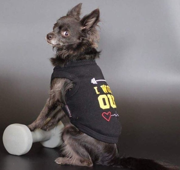 Parisian Pet I Work Out Trendy Dog Apparel  Playful Slogan Dog Shirt for Dogs & Cats, Black