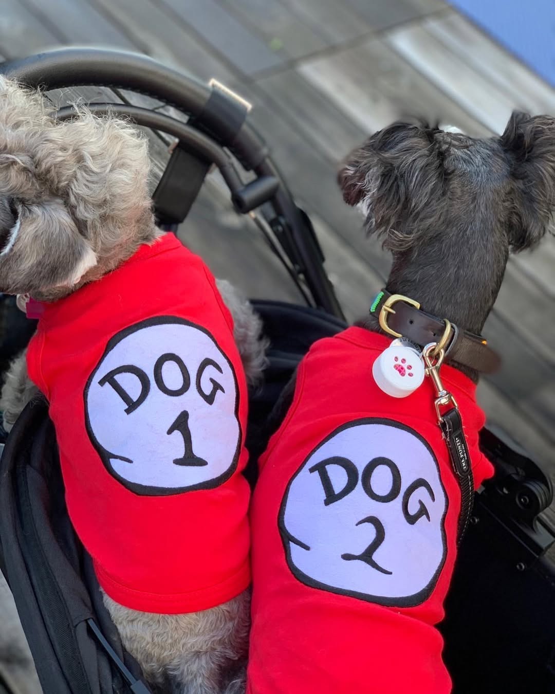 Parisian Pet Dog 2 Funny Slogan Dog Shirt  Playful Embroidered Pet Apparel for Dogs & Cats, Red