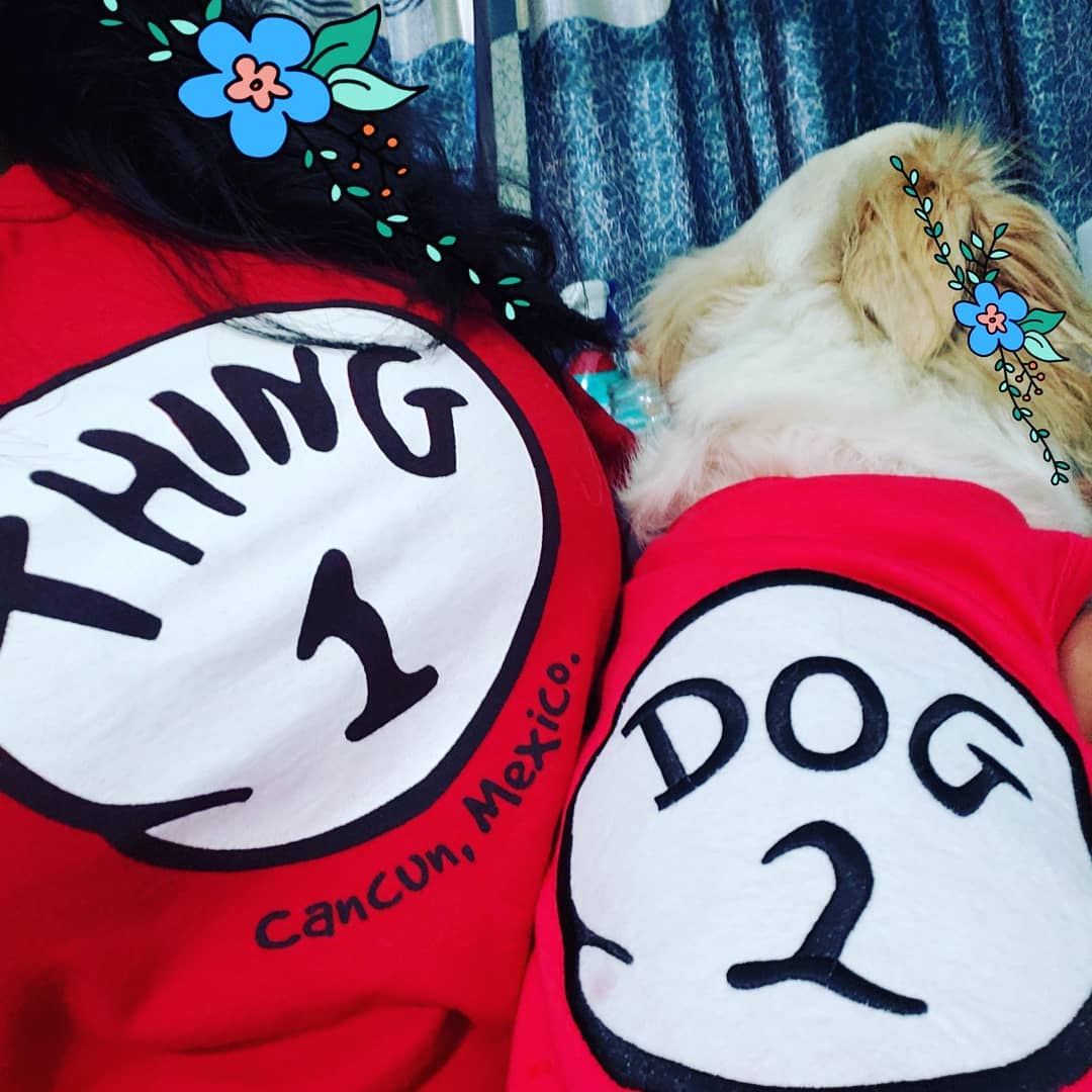 Parisian Pet Dog 2 Funny Slogan Dog Shirt  Playful Embroidered Pet Apparel for Dogs & Cats, Red