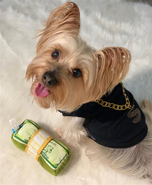 Parisian Pet Bling $ Dog Shirt  Sparkly Embroidered Pet T-Shirt for Dogs & Cats, Black