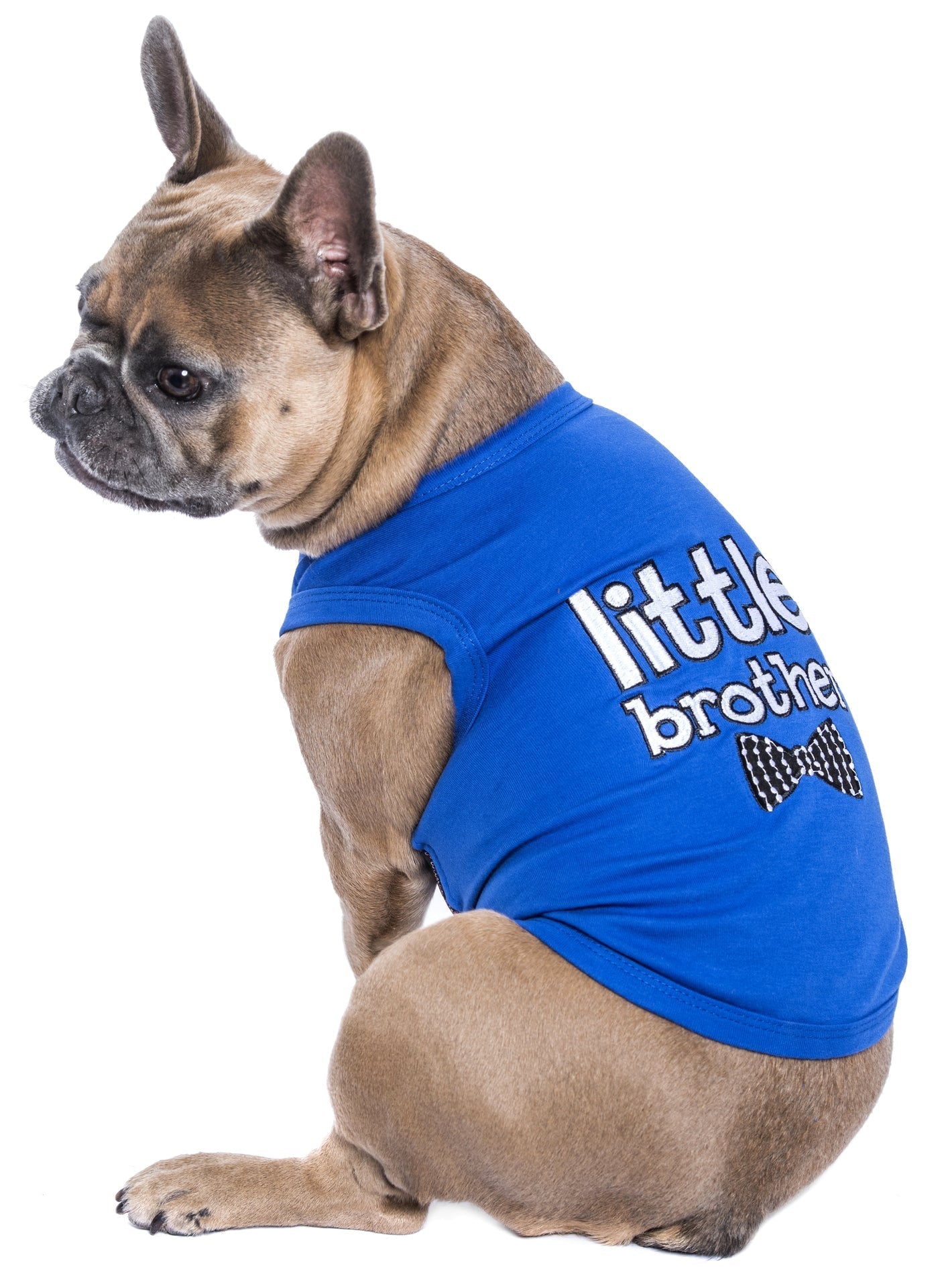 Parisian Pet Little Brother Dog Shirt - Dog Sibling Shirt for Dogs & Cats, Blue