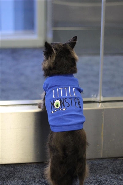 Parisian Pet Little Monster Embroidered Dog & Cat Shirt - Funny Pet Apparel, Blue