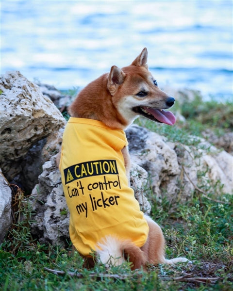 Parisian Pet Licker Novelty Dog Apparel  Fun Embroidered Pet Wear for Dogs & Cats, Yellow