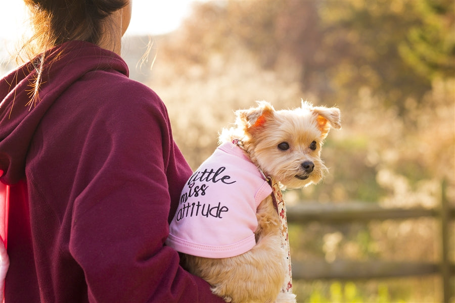 Parisian Pet Little Miss Attitude Pet Shirt-Pink