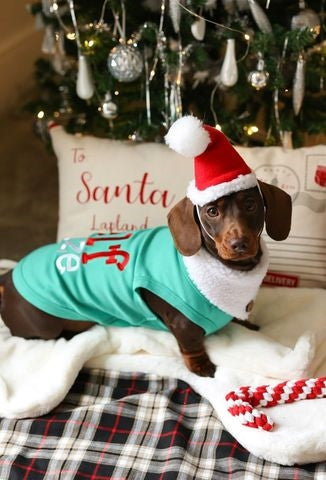 Parisian Pet Embroidered Elf Size Shirt-Green