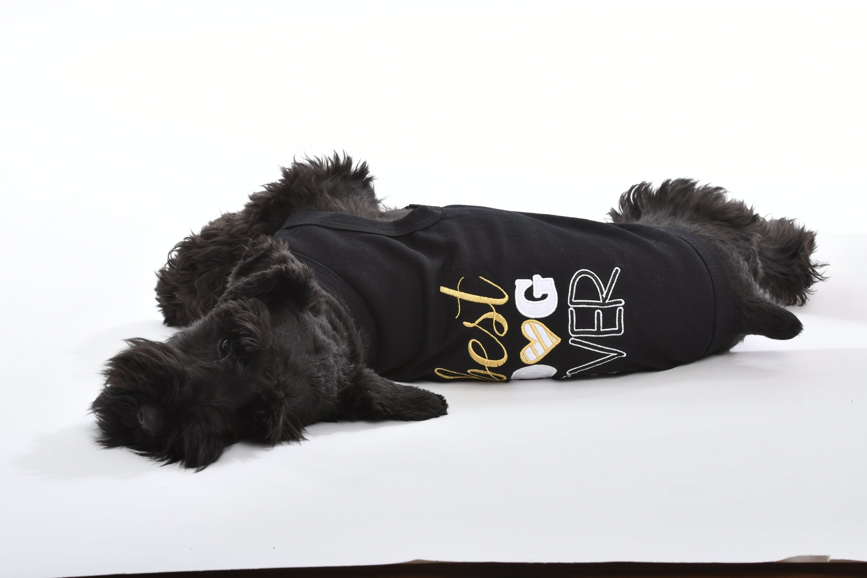 Parisian Pet Best Dog Ever Cute Slogan Dog T-Shirt  Premium Cotton Pet Wear for Small Dogs & Cats, Black-Valentines Day