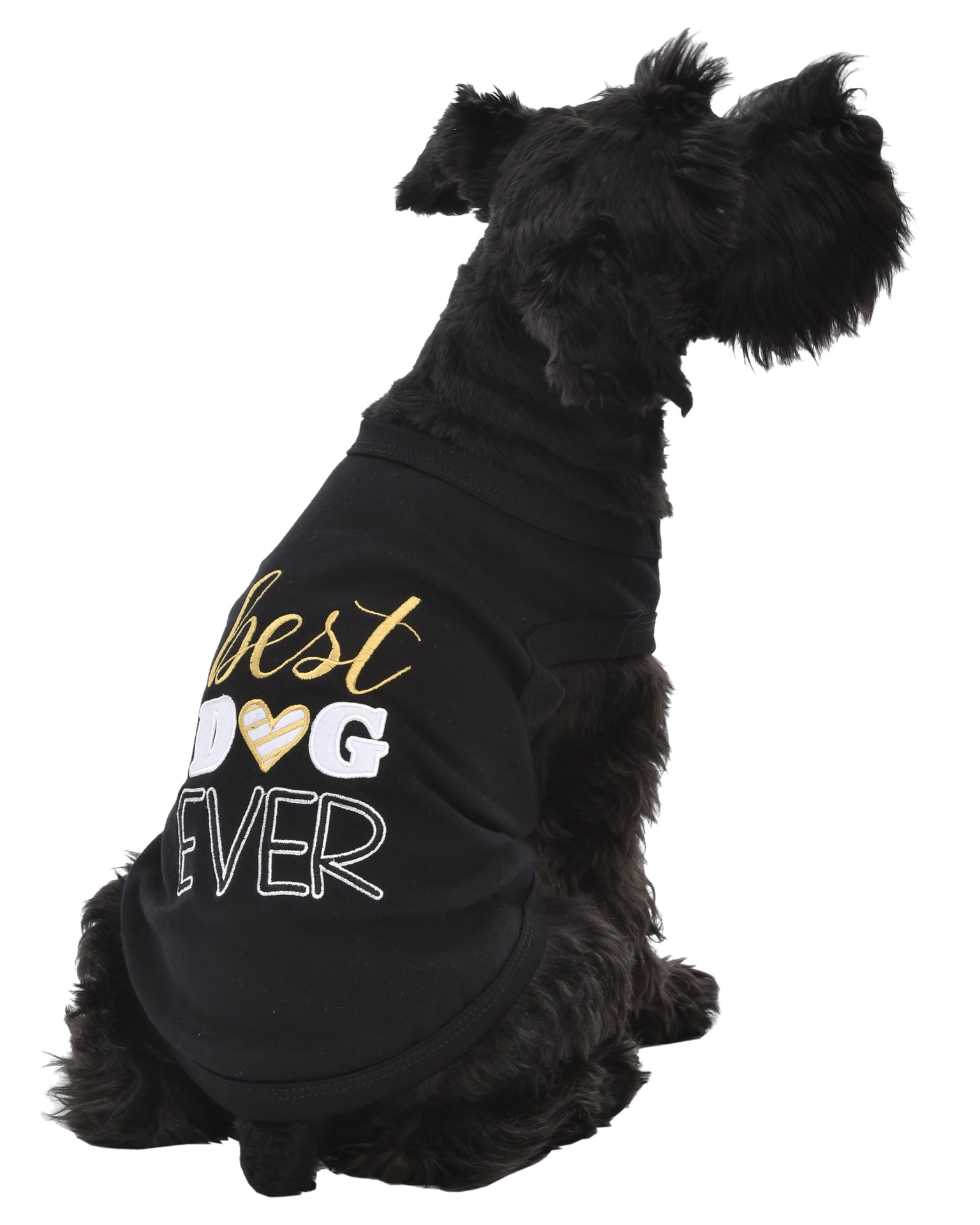 Parisian Pet Best Dog Ever Cute Slogan Dog T-Shirt  Premium Cotton Pet Wear for Small Dogs & Cats, Black-Valentines Day