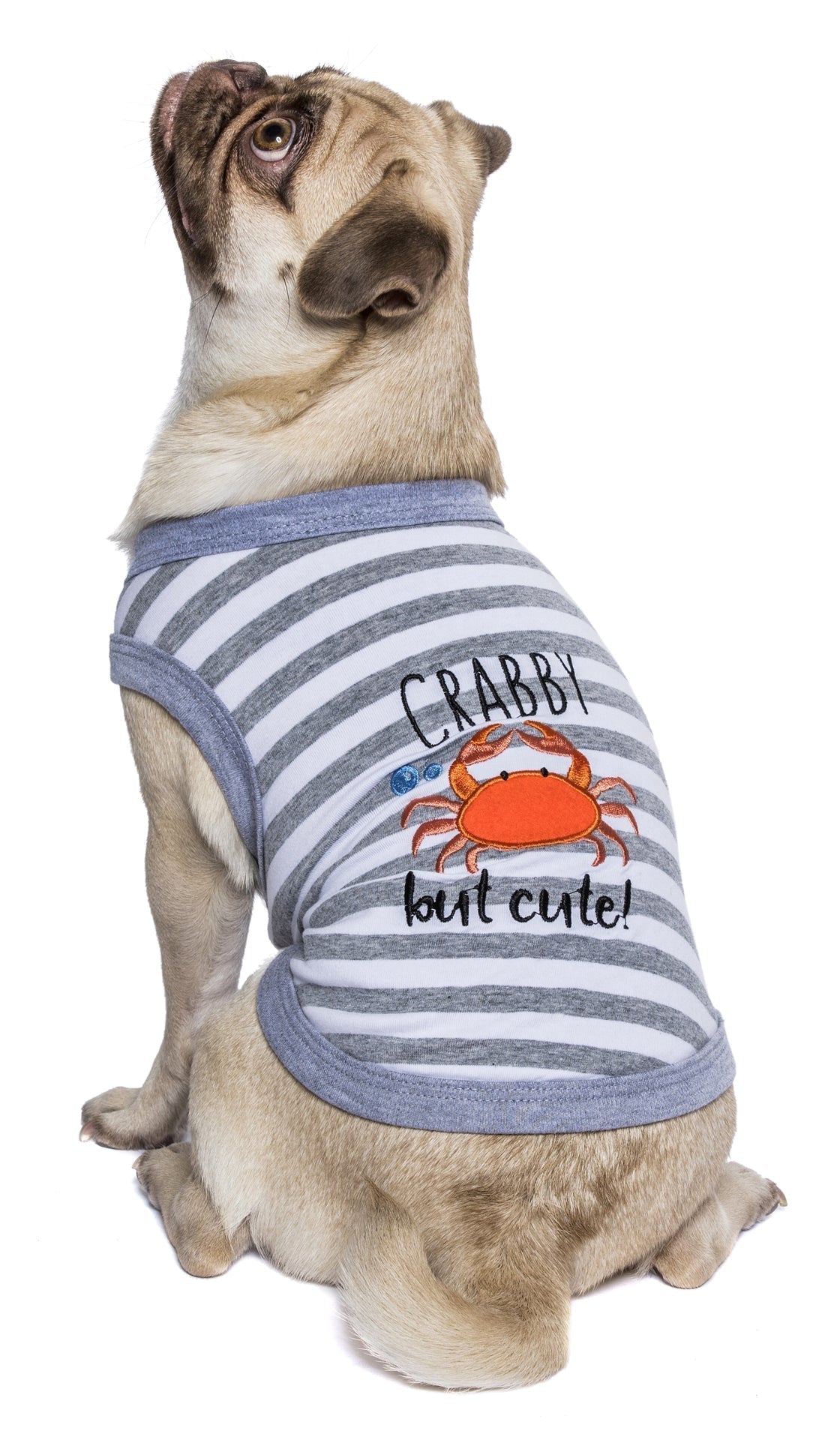 Parisian Pet Crabby But Cute Tee Embroidered Dog Shirt - Trendy Pet Apparel for Dogs & Cats, Gray and White Stripes