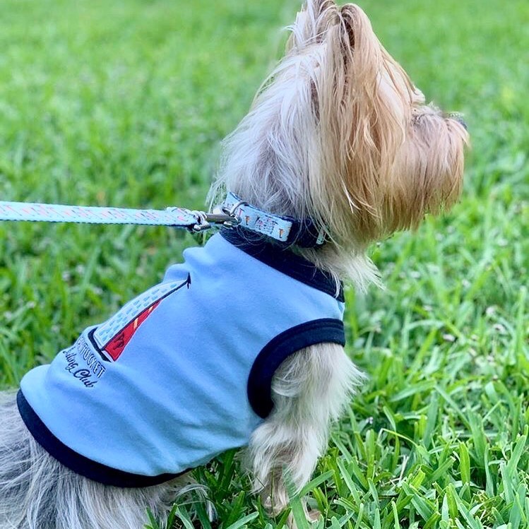 Parisian Pet Sailing Club Dog T-Shirt-Light Blue