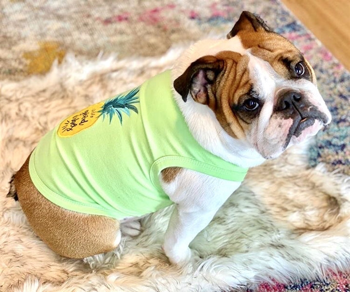 Parisian Pet Pineapple Dog Shirt  Tropical Cotton Pet T-Shirt for Dogs & Cats-Saint Patricks Day