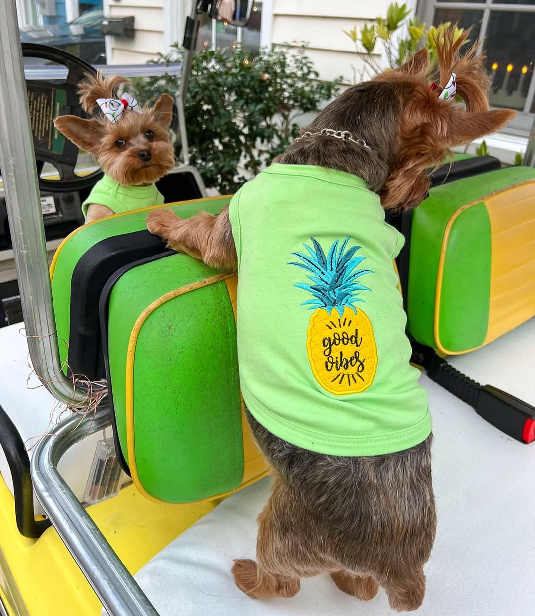 Parisian Pet Pineapple Dog T-Shirt