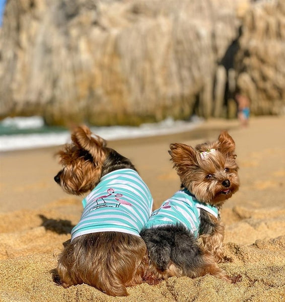 Parisian Pet Flamingos Dog T-Shirt-Light Blue & White Stripes