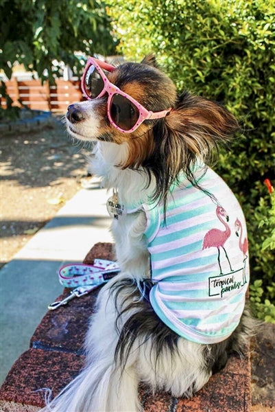 Parisian Pet Flamingos Dog T-Shirt-Light Blue & White Stripes