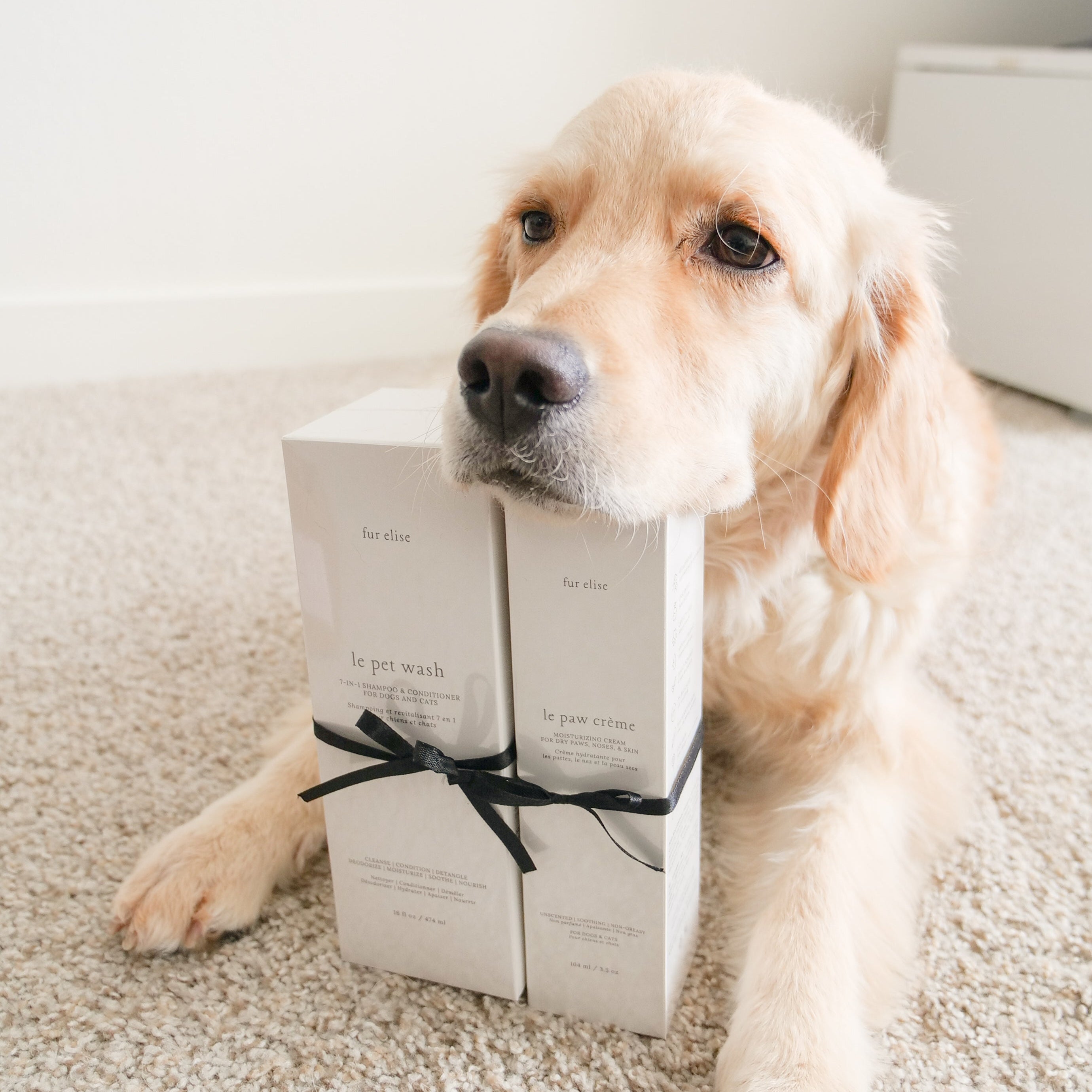 Le Grooming Set