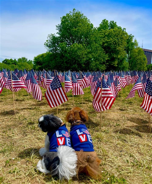 Parisian Pet Love USA Patriotic Dog Shirt  Embroidered Pet Apparel for Dogs & Cats, Navy Blue-Valentines Day