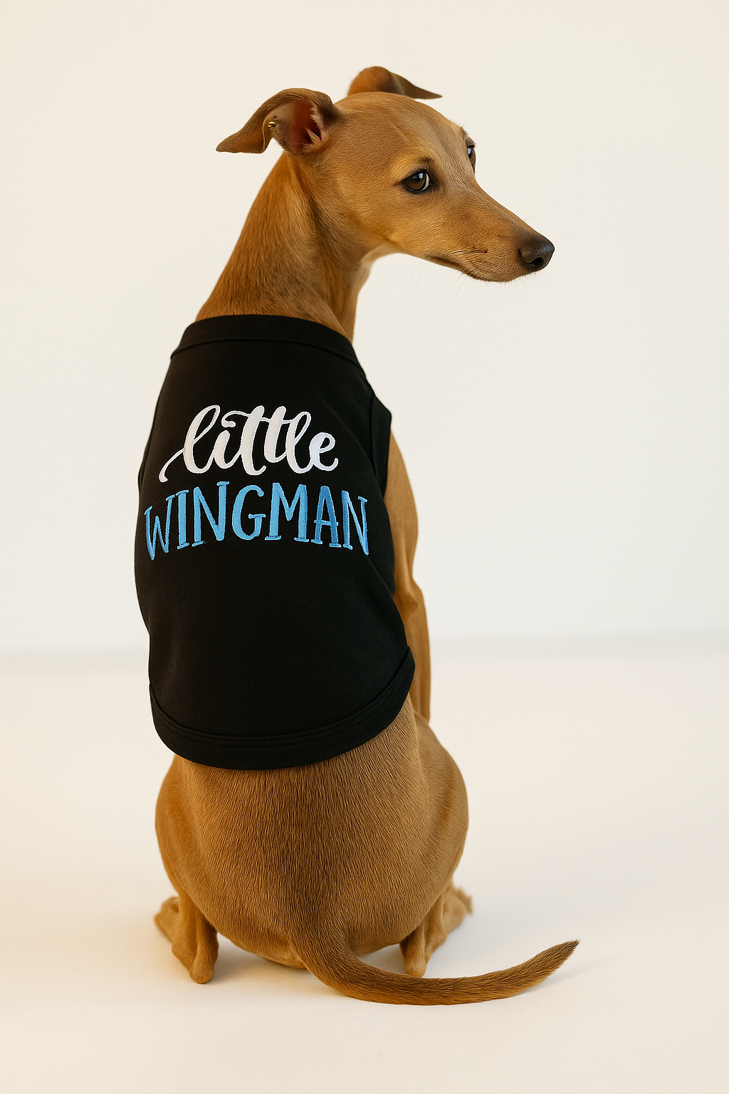 Parisian Pet Little Wingman Winged Dog T-Shirt-Black
